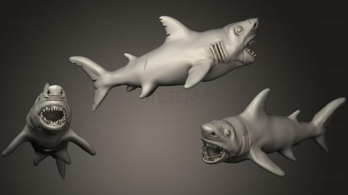 3D model Shark (STL)